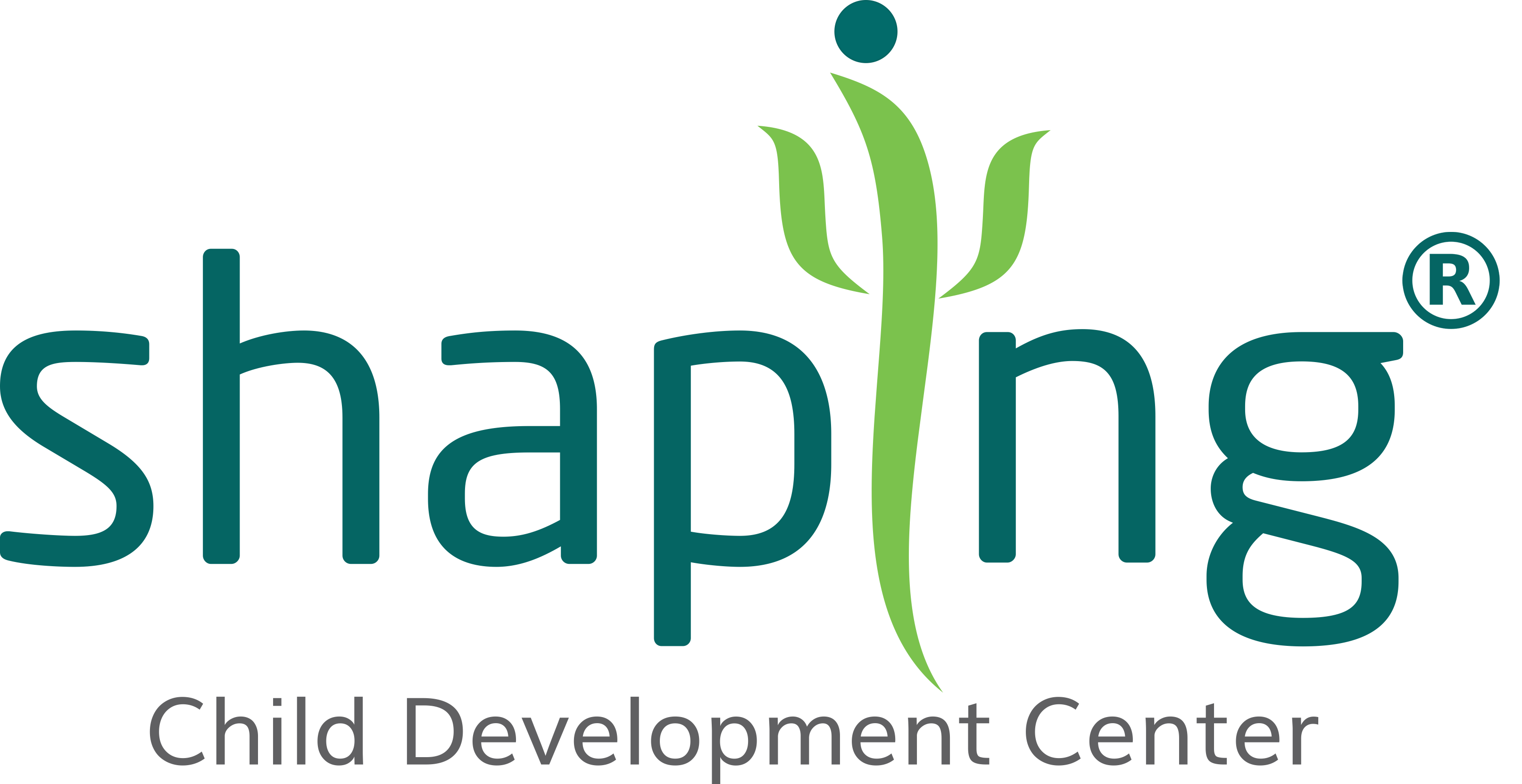 Shaping CDC Logo